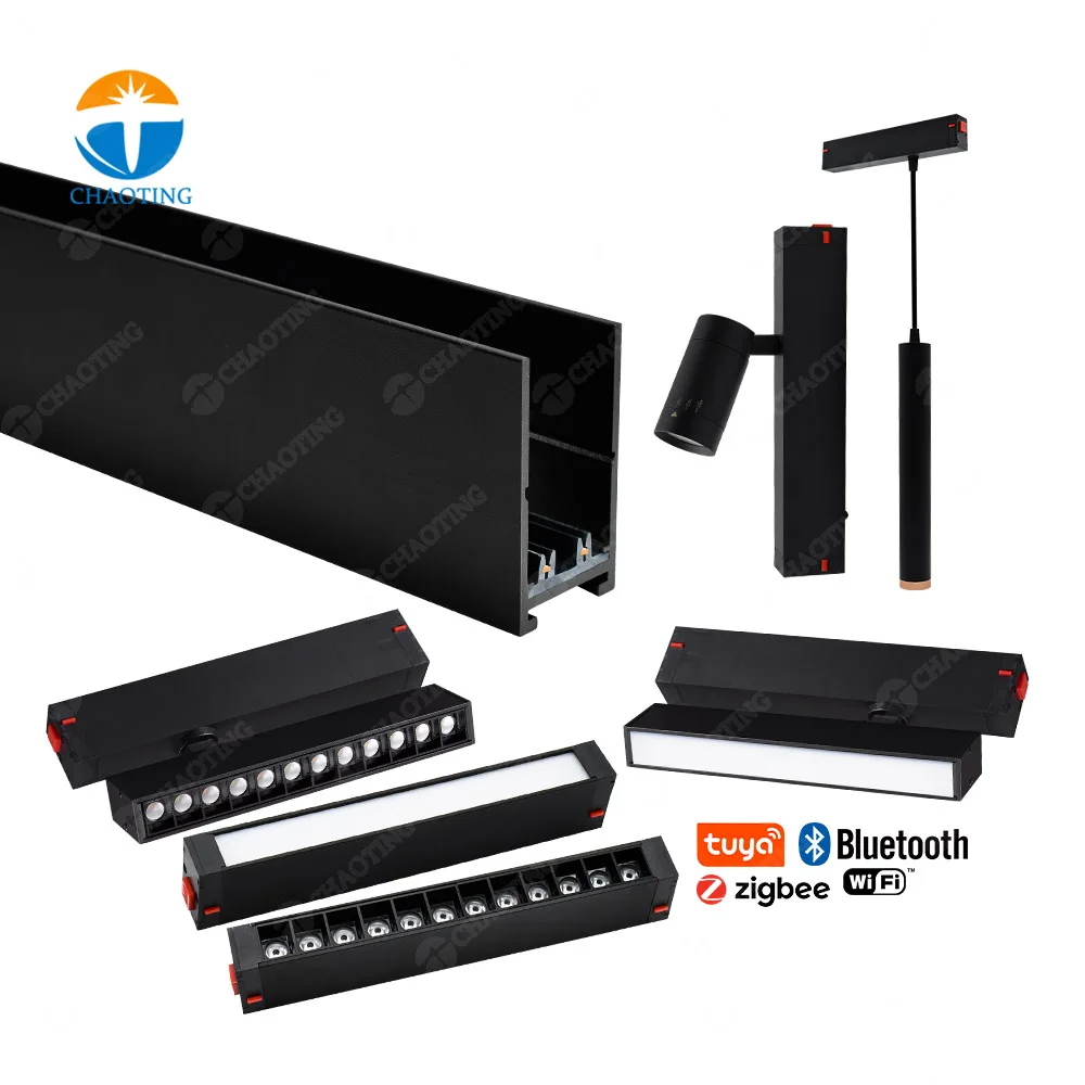 LED Magnetique Rail Track Lights Systeme 30W 40W 50W 60W 2 Wire Eclairage Sur Linear Blue tooth Control For Hotel Living Room