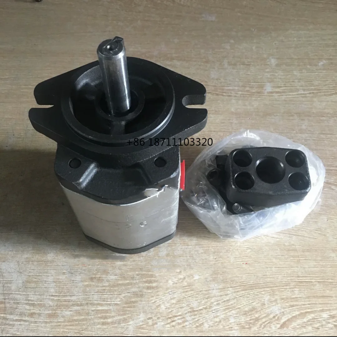 Hydraulic Gear Pump D22  with a straight shaft 50 mm Hot sale with two flanges