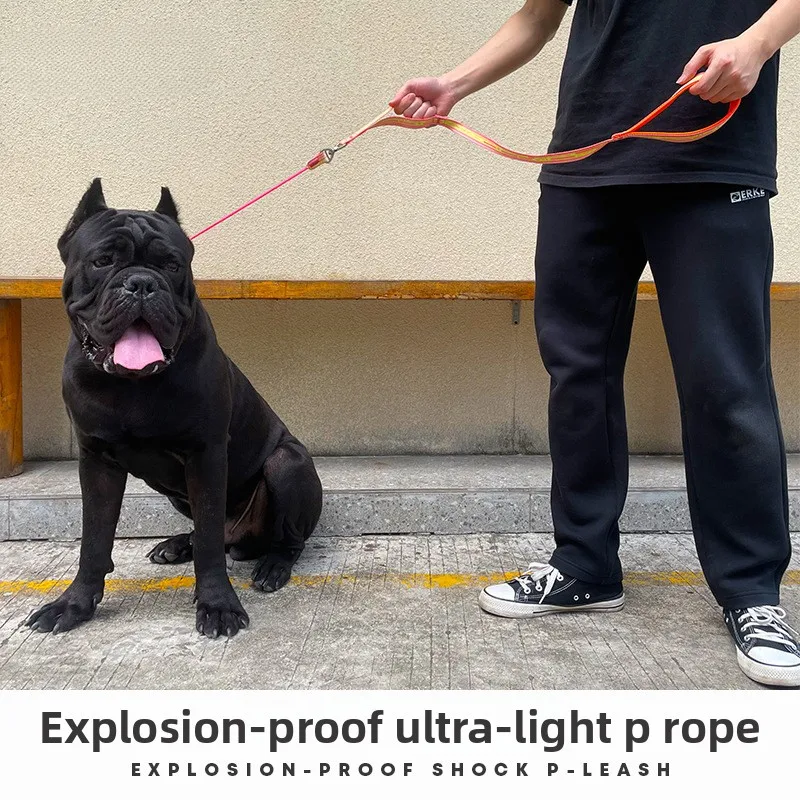 

2026 New Professional Dog Training Leash, No-Pull Reflective Adjustable P Chain Collar, Heavy Duty Durable for Medium Large Dogs