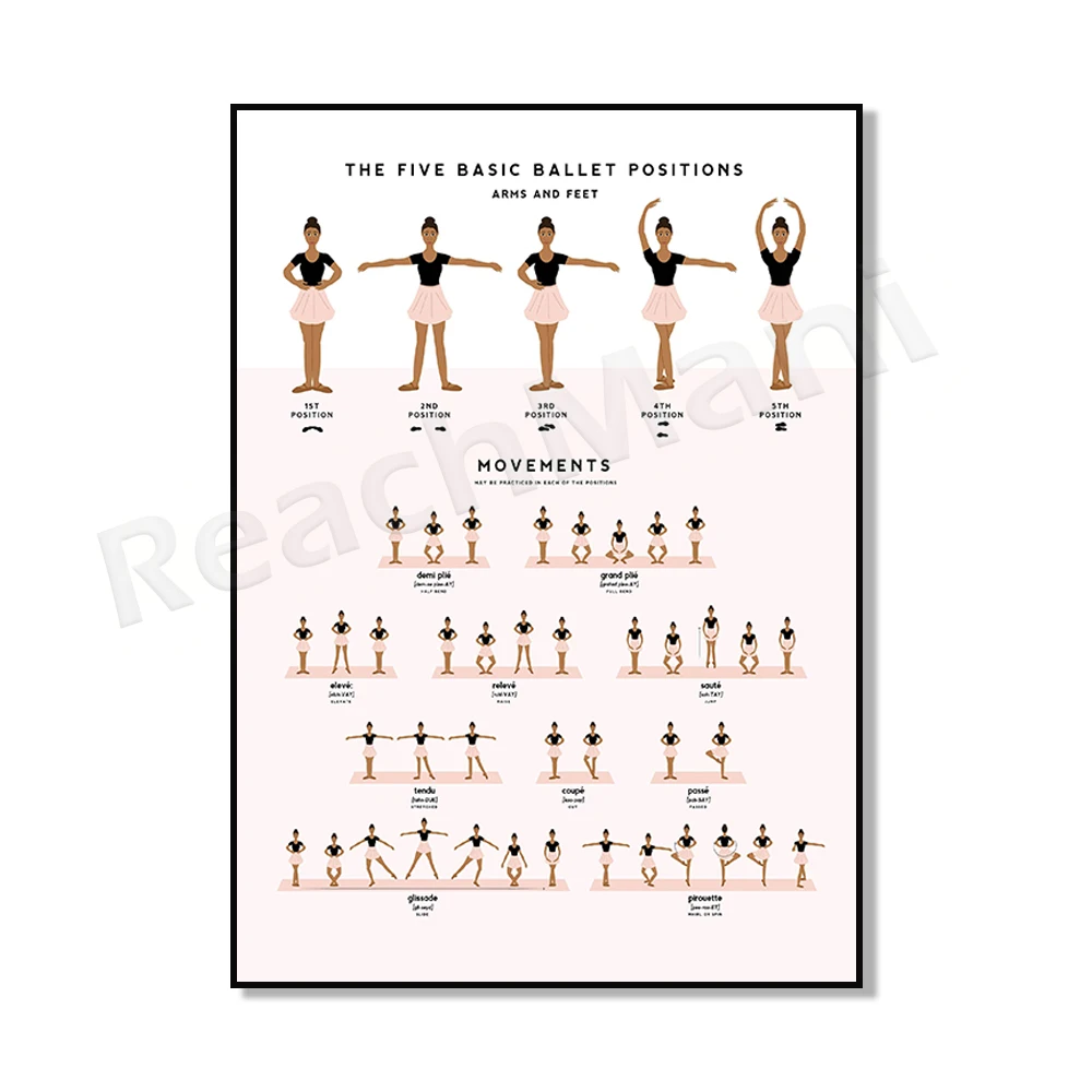 Ballet poses and movements, POC multi skin tone, pointe shoe anatomy, boy ballet foot and arm positions, ballet poster, teaching