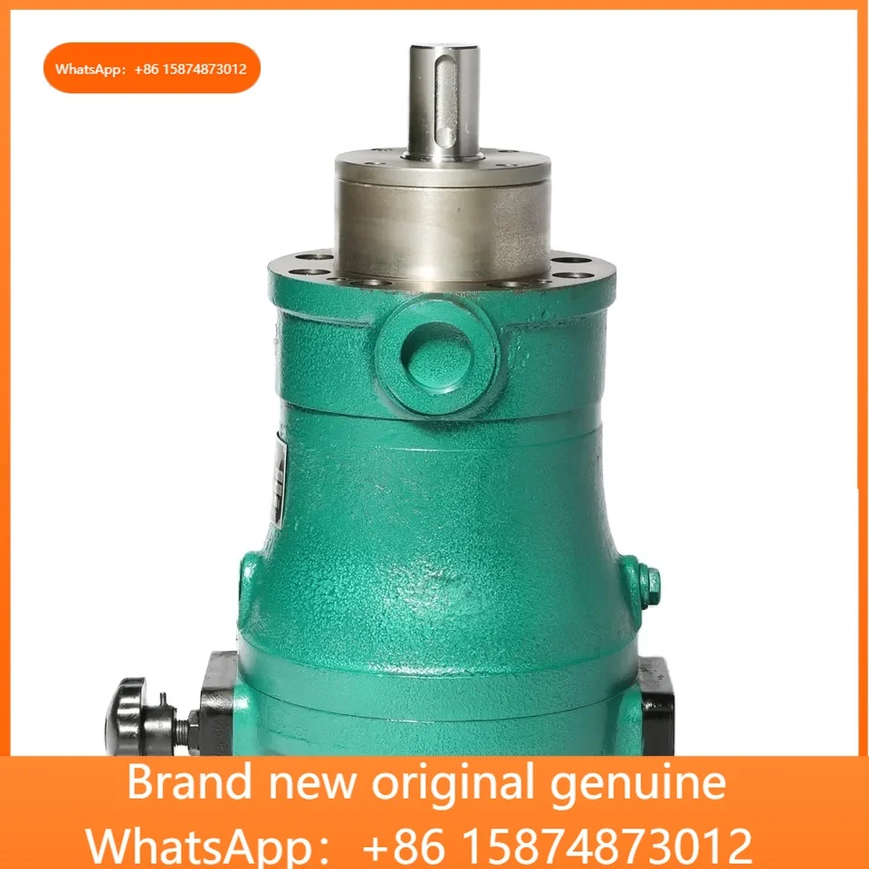 

SCY MCY YCY series 40YCY14-1B 250SCY14-1B 250MCY14-1B 250YCY14-1B Qidong Axial Piston Pump Hydraulic Motor
