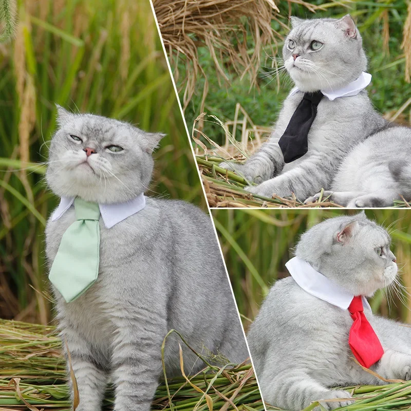 ของขวัญสัตว์เลี้ยงสุนัข Cat เนคไทอย่างเป็นทางการ Tuxedo Bow Tie สีดําและสีแดงสําหรับสุนัขและแมวสัตว์เลี้ยงอุปกรณ์เสริมสําหรับงานแต่งงานวันหยุดและปาร์ตี้