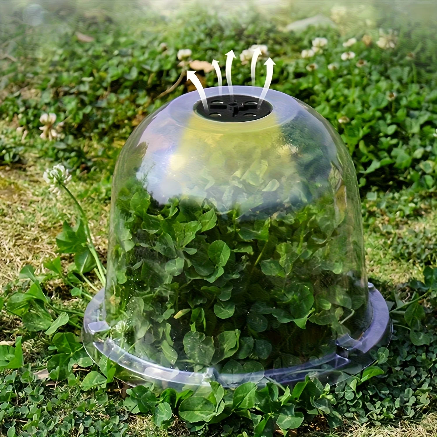 10pcs Reusable Plant Covers Anti-Bird Snail Protection for Vegetables Seedlings Plants Ideal for Farm Garden Yard Free 20 nails
