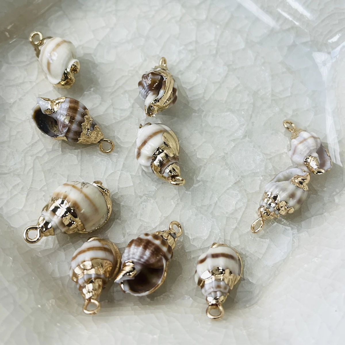 10pcs/lot Natural Freshwater Conch Shell Pendant Shells Charms For Jewelry Making DIY Women Necklaces Earrings Accessories Gift