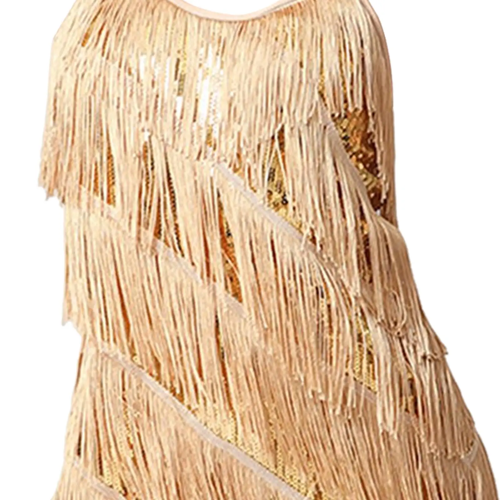Women Luxury Sparkly Fringe Tassel Dress Sleeveless V Neck Backless Latin Samba Tango Costume for Nightclub Wedding