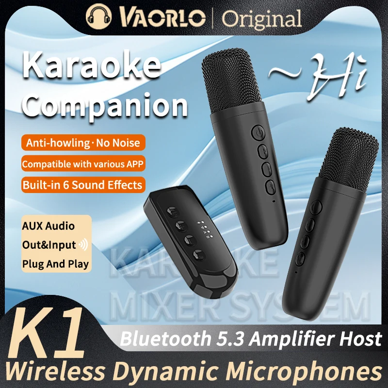 VAORLO DS-K1 Karaoke Companion Bluetooth 5.3 Wireless Moving-Coil Microphone KTV DSP Mixer System 3.5MM AUX TypeC Amplifier Host