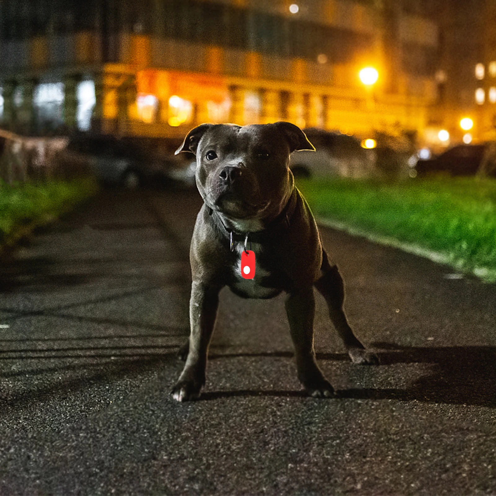 

2Pcs Tracker Silicone Protective Covers Anti-Scratch Shockproof Sleeve with Hook for Portable Key Bag