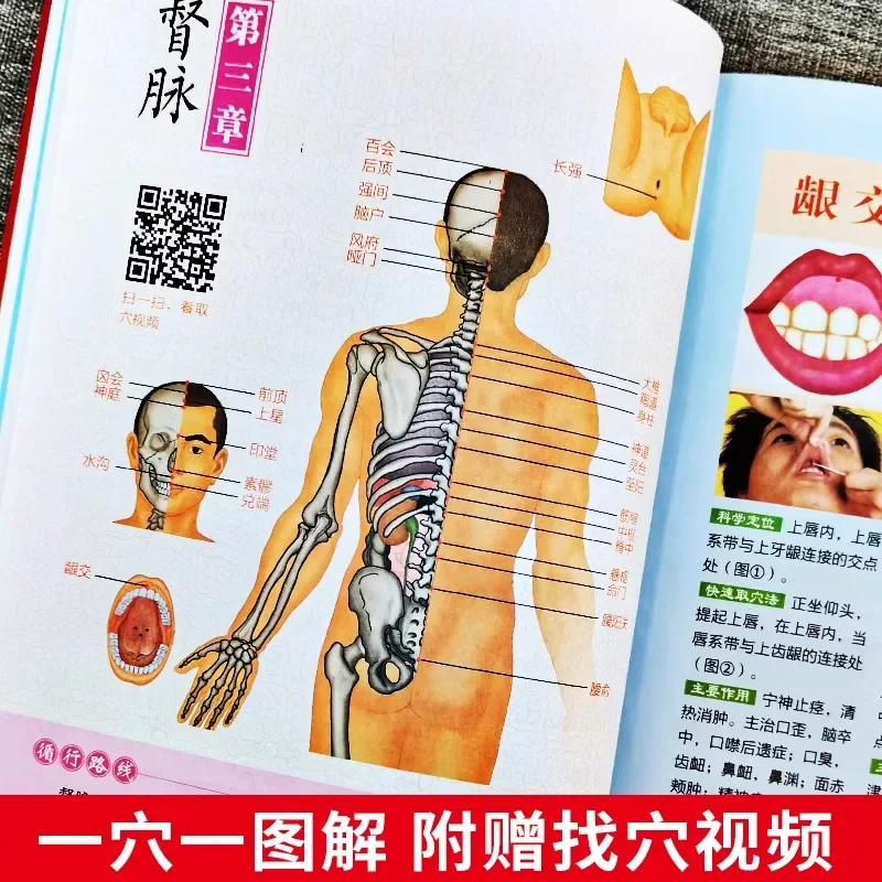 Zero-based Learn Acupuncture Point Selection Standard Atlas Quick Check Human Meridian Acupoint Massage Chinese Medicine Book