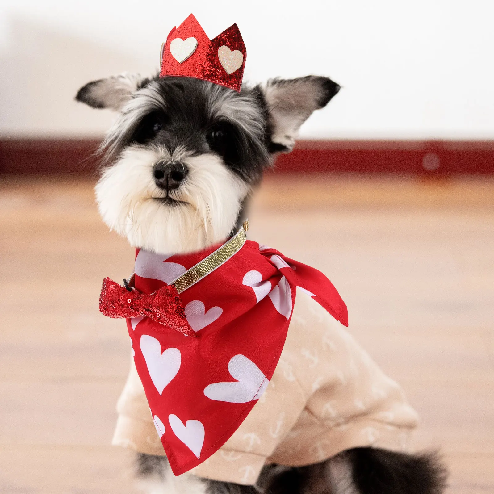 

1 set 1 Set Pet Decorative Accessories Saliva Towel Hat Bowtie Set For Dogs Cat Party Wedding Christmas Costume Pets Adorns