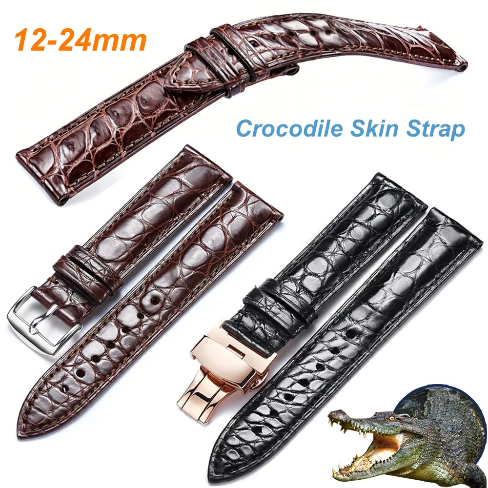 Round Grain Crocodile Skin Watch Strap Bracelet 12 13 14 15 16 17 18 19 20 21 22 23 24mm Black Brown Genuine Leather Watch Band