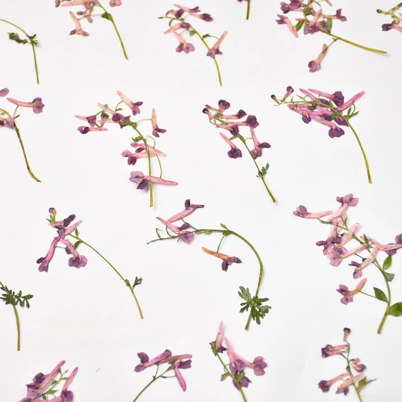 6-8cm/12pcs,Nature mini flower branches,pressed flower DIY wedding invitation adhesive drop phone case Photo frame bookmark card
