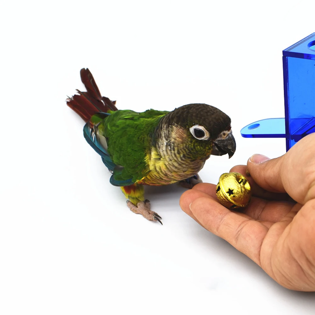 Parrots Toys Bird Trick Tabletop Toys Creative Foraging System Puzzles Education Macaws Trainer With Bell Budgie CageAccessories