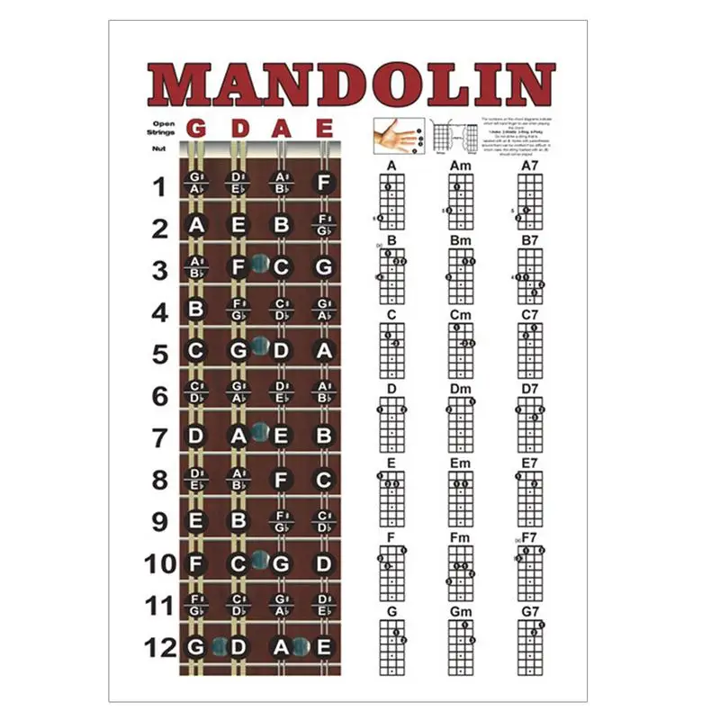 Mandolin Chord Chart Poster Practical Comprehensive Reference Guide Mandolin Learning Tools Concise Mandolin Note Chart Decals