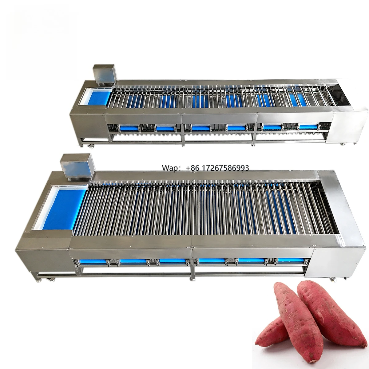 Sweet Potato Vegetable Fruit Automatic Size Sorting Grading Machine for Commercial Use Fruit Vegetable Processing Plants Snack