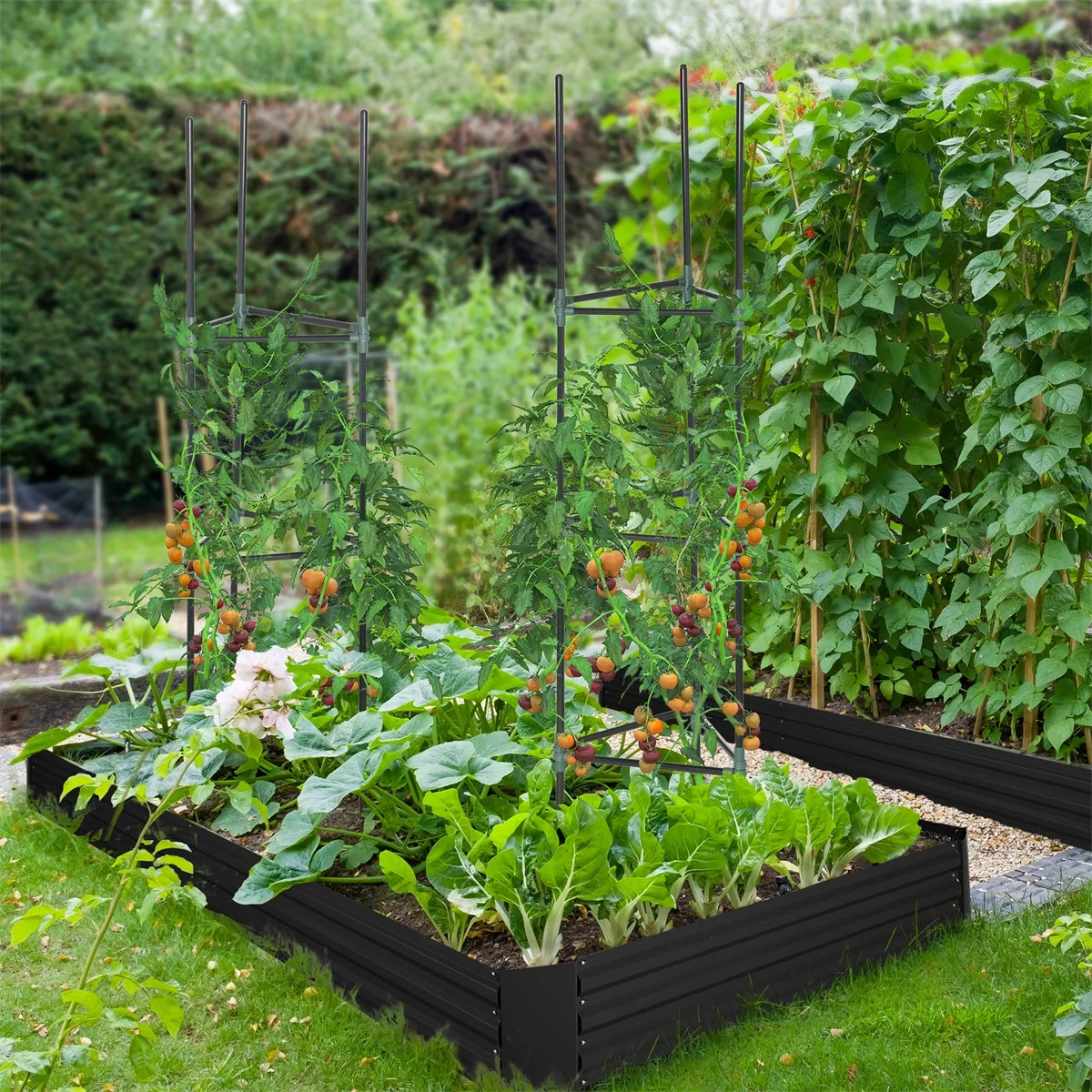 Raised Garden Bed,with Support Rod,Outdoor Planter with 2PCS Tomato Cages,Thick Galvanized Metal,Black