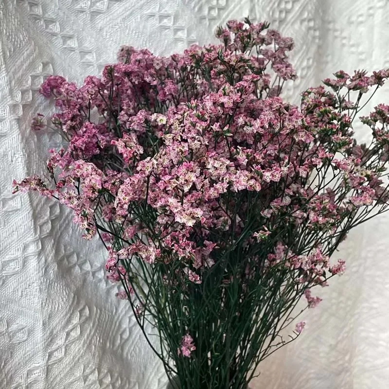 35~42CM/60g Crystal Grass Natural Fresh Dried Preserved Forget me Flowers,Real Forever Lover Grass Branch For Home Decor