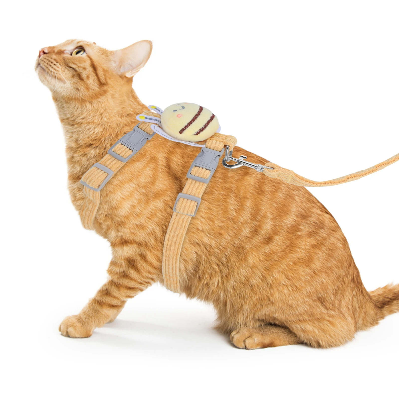 

Cat Chest and Rope Harness for Dogs Harnesses Small Adjustable Nylon Harness&leash