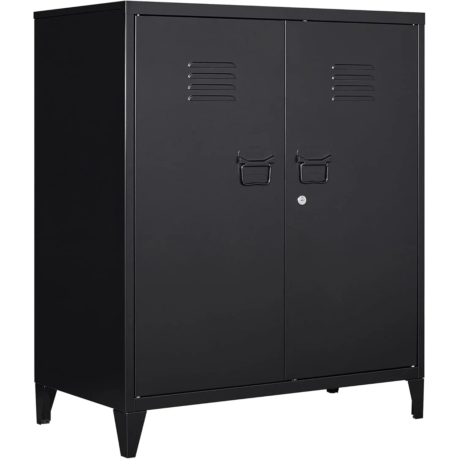 Metal Storage Cabinet with Lock, Locking Cabinet Office Storage Cabinet with 2 Doors and Shelves,