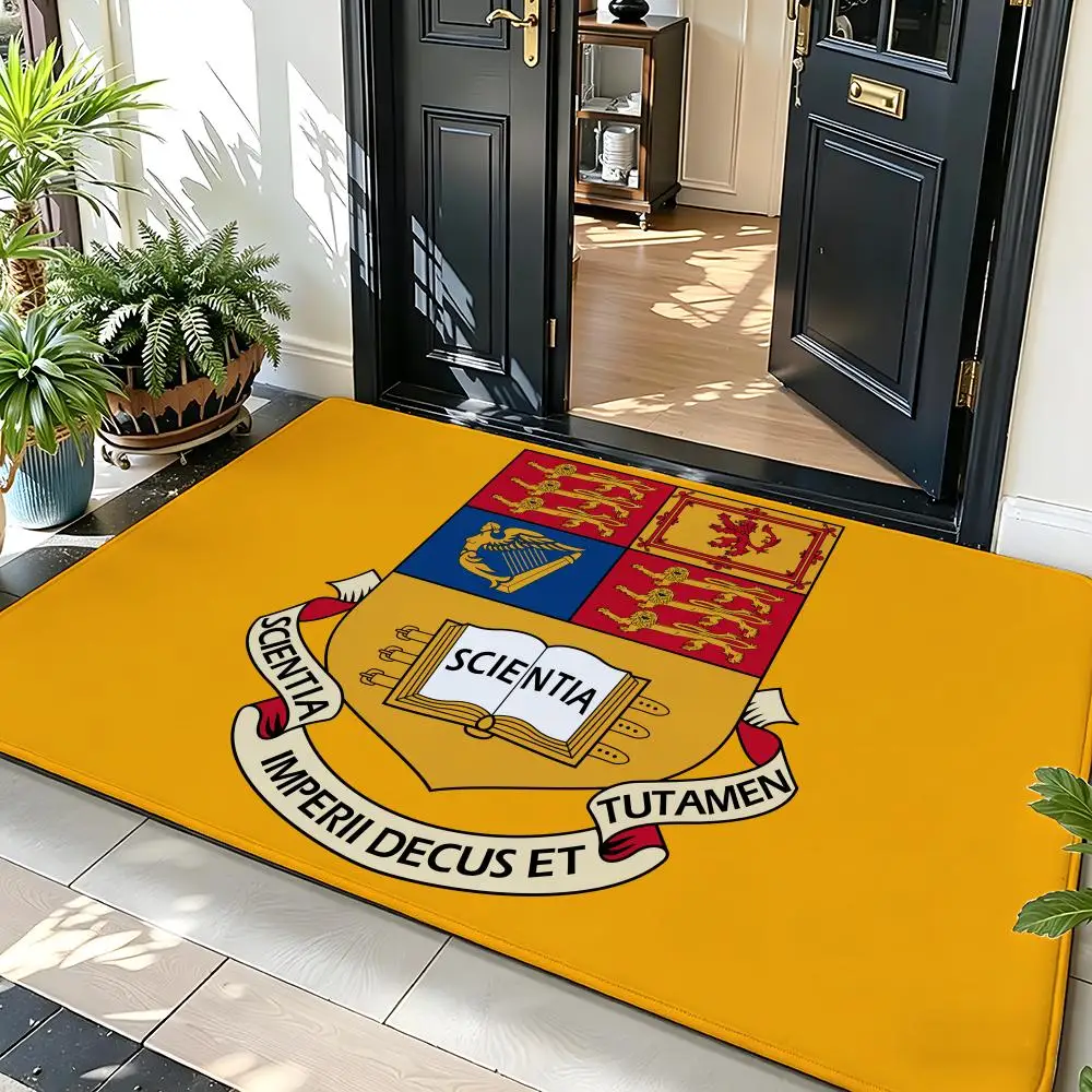 Education I-Imperial College of London Floor Mat Soft Flannel Entrance Door Mat Non Slip Absorbent Bathroom Bedroom Floor Rug