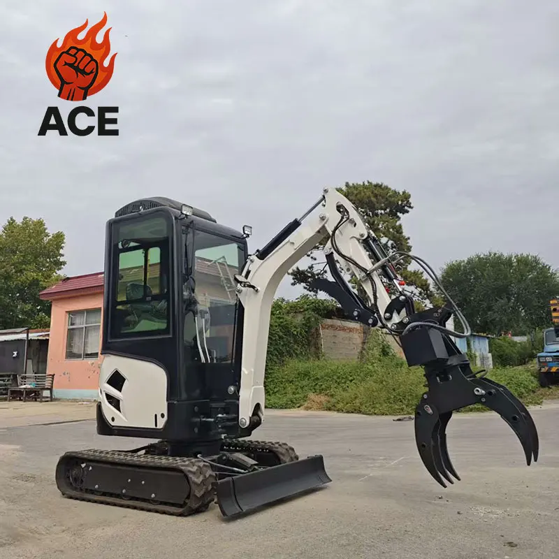 Livraison gratuite 2 tonnes pelle Euro 5 Epa pelle hydraulique sur chenilles moteur Kubota petite pelle Mini pelle avec personnalisé