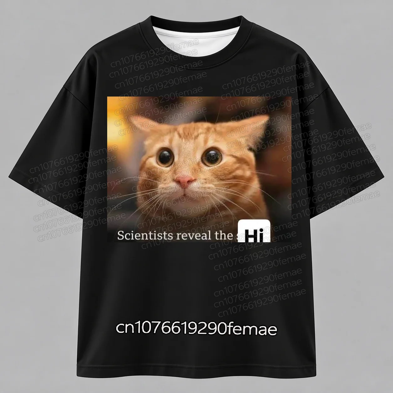Scientists Reveal the Hi Cat Meme T-Shirt for Men Women, Cute Big Eyes Orange Cat Photo Print Tee, Oversized Casual Short Sleeve