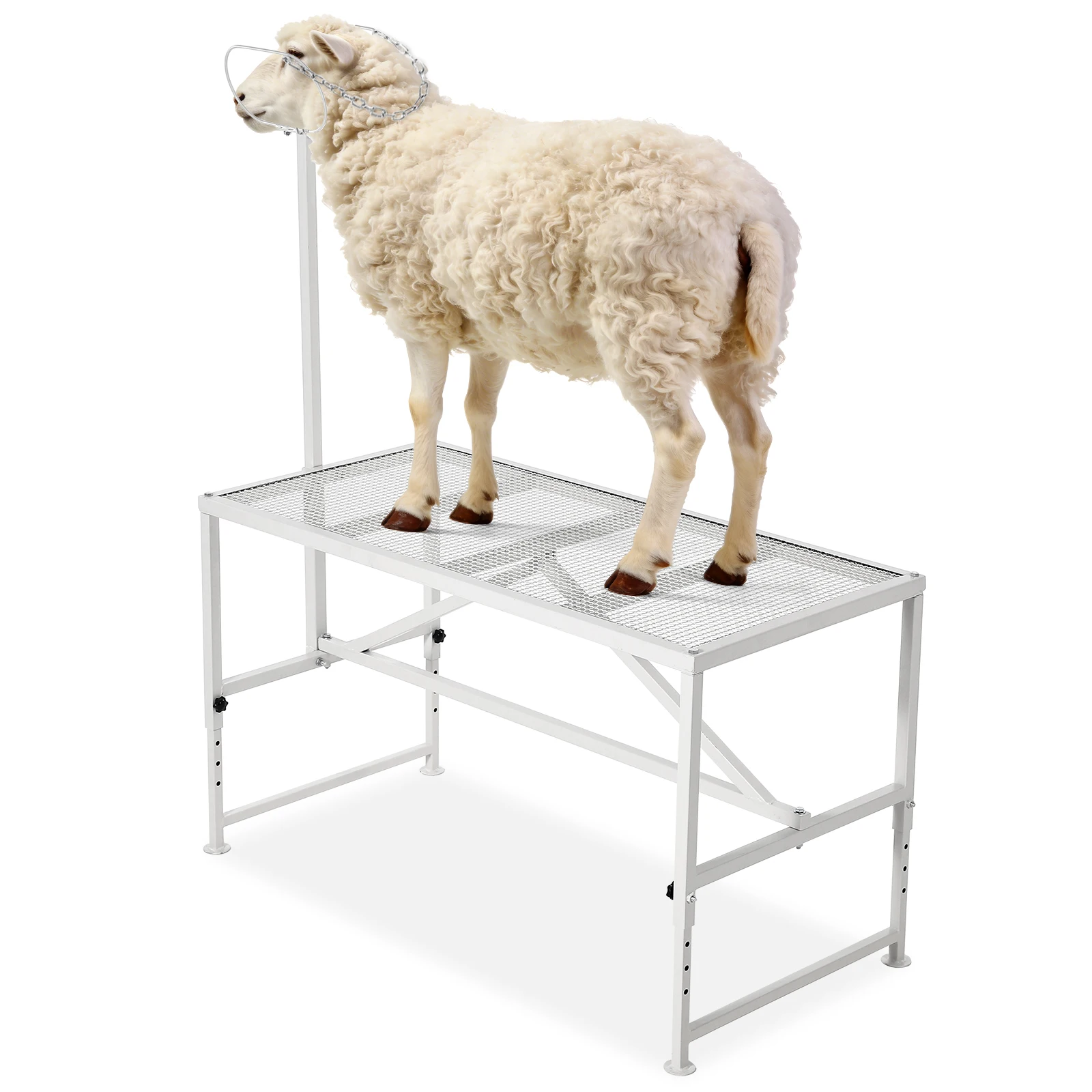 Adjustable Goat Milking Stand 47X23 Inch Heavy Duty Metal Livestock Grooming Table Headpiece Nose Loop 500Lbs Capacity For Milking Trimming Shearing