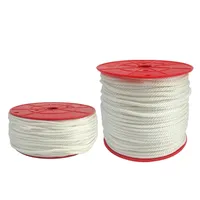 100M/ Roll  3/3.5/4/5/5.5/6mm Nylon Pull Starter Recoil Engine Start Cord Rope Lawnmower White for 168/170/188/190F