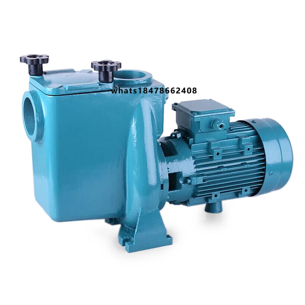 Cast Iron Circulation Water Pump Swimming Pool Pump