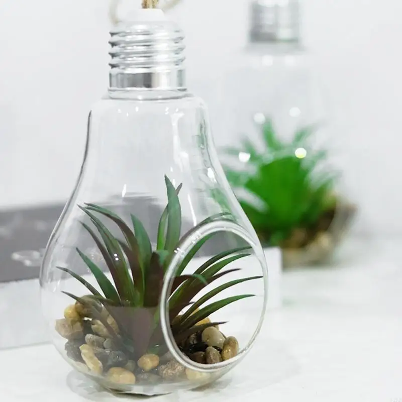 62KD Light Bulb Shaped Perfect Glass Vase Container For Succulent Easy Use Gift