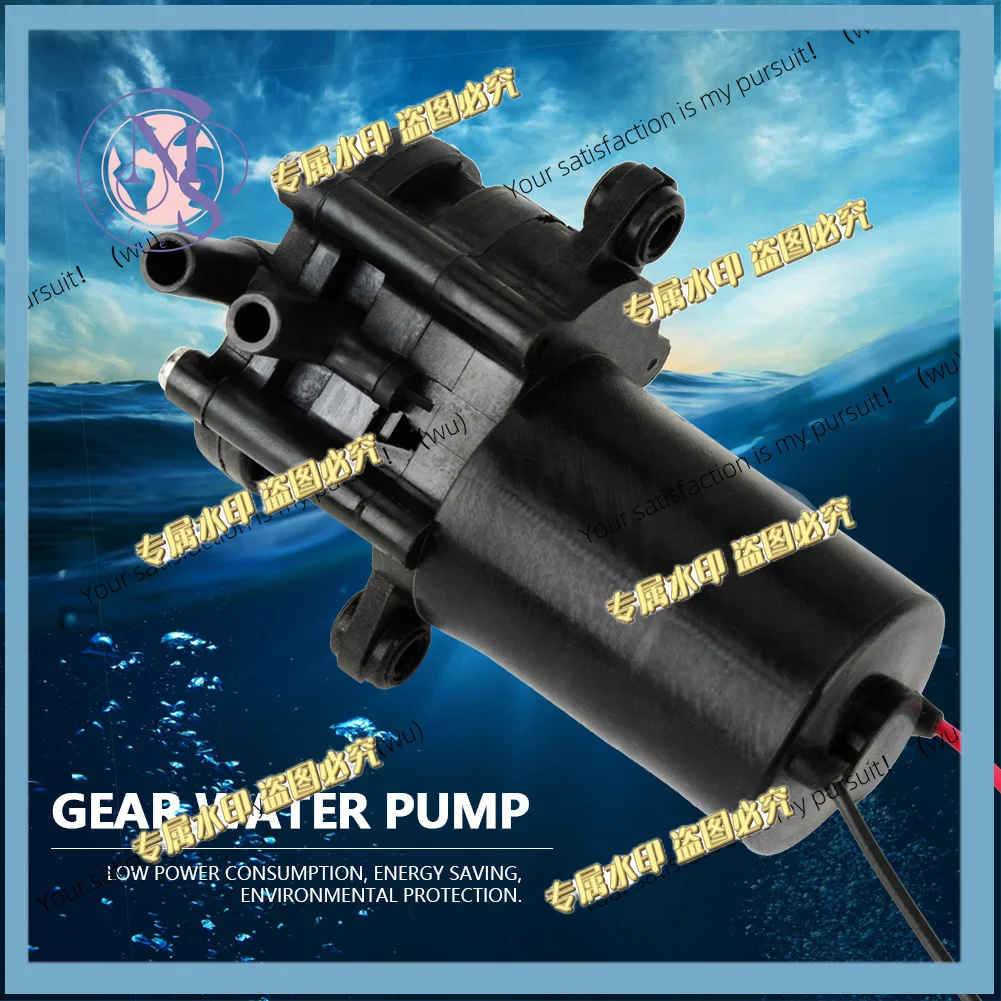 ZC-A210 12V Mini Plastic High Efficiency Self-priming Pump, DC Gear Pump