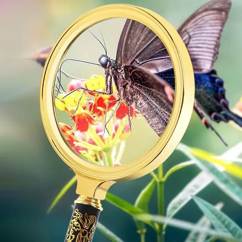 عدسة مكبرة محمولة متعددة الاستخدامات 6X 7X 8X |   عدسة مكبرة مقاس 60/70/80 مم مع مقبض للقراءة والعثور على الأخطاء حول المنزل.