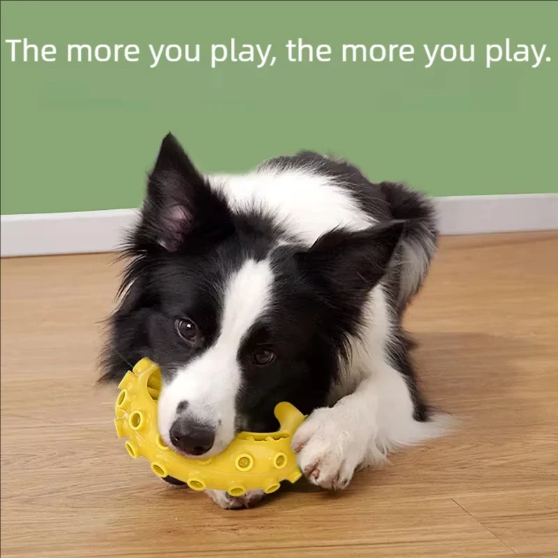 Thumbnail 2 - #34 Latest Durable Pet Chew Toys Updates