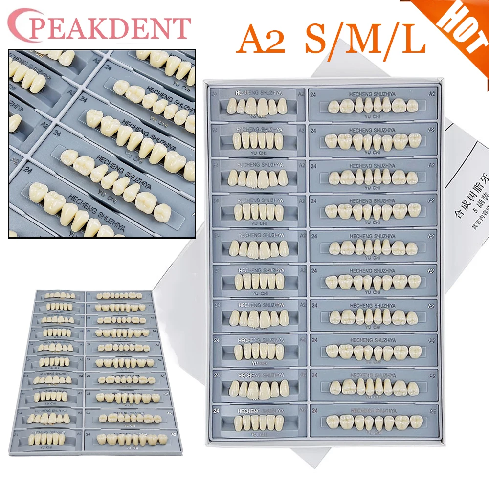 

140Pcs/box Dental Teaching Model A2 of Maximum Standard Size Teeth Upper and Lower Model Replacement Dental Education Model