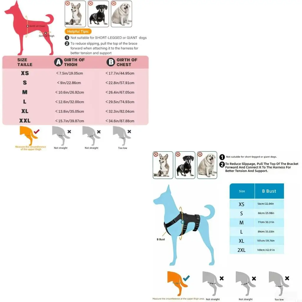 L43A Dog Rear Leg Support Brace For Tear And Hip Dysplasia With Adjustable Strap