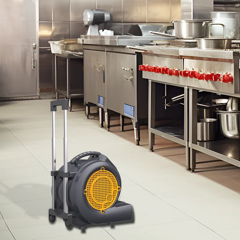 2025Essiccatore elettrico professionale per la pulizia dei tappeti per pavimenti bagnati di nuovo stile