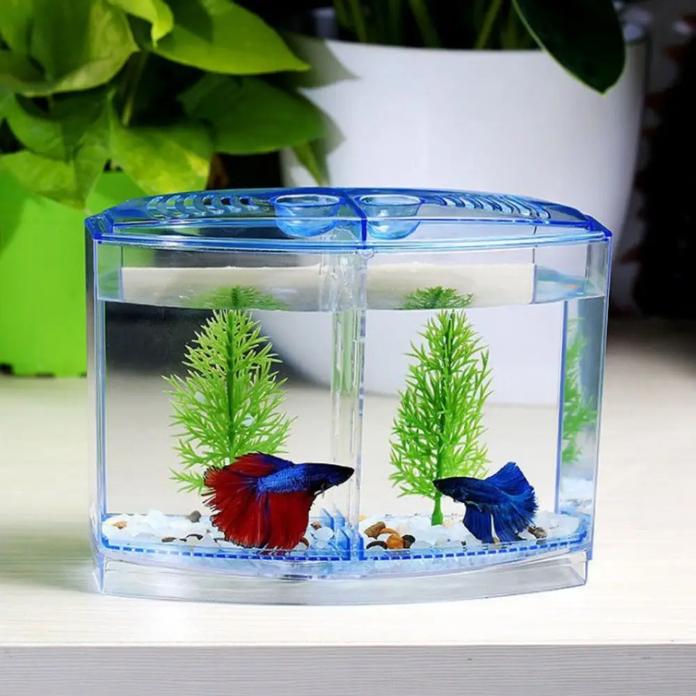 Transparent Betta Fish Tank Plastic Single/Double Grid Double-grid Betta Isolation Box Betta Isolation Box with Water Grass