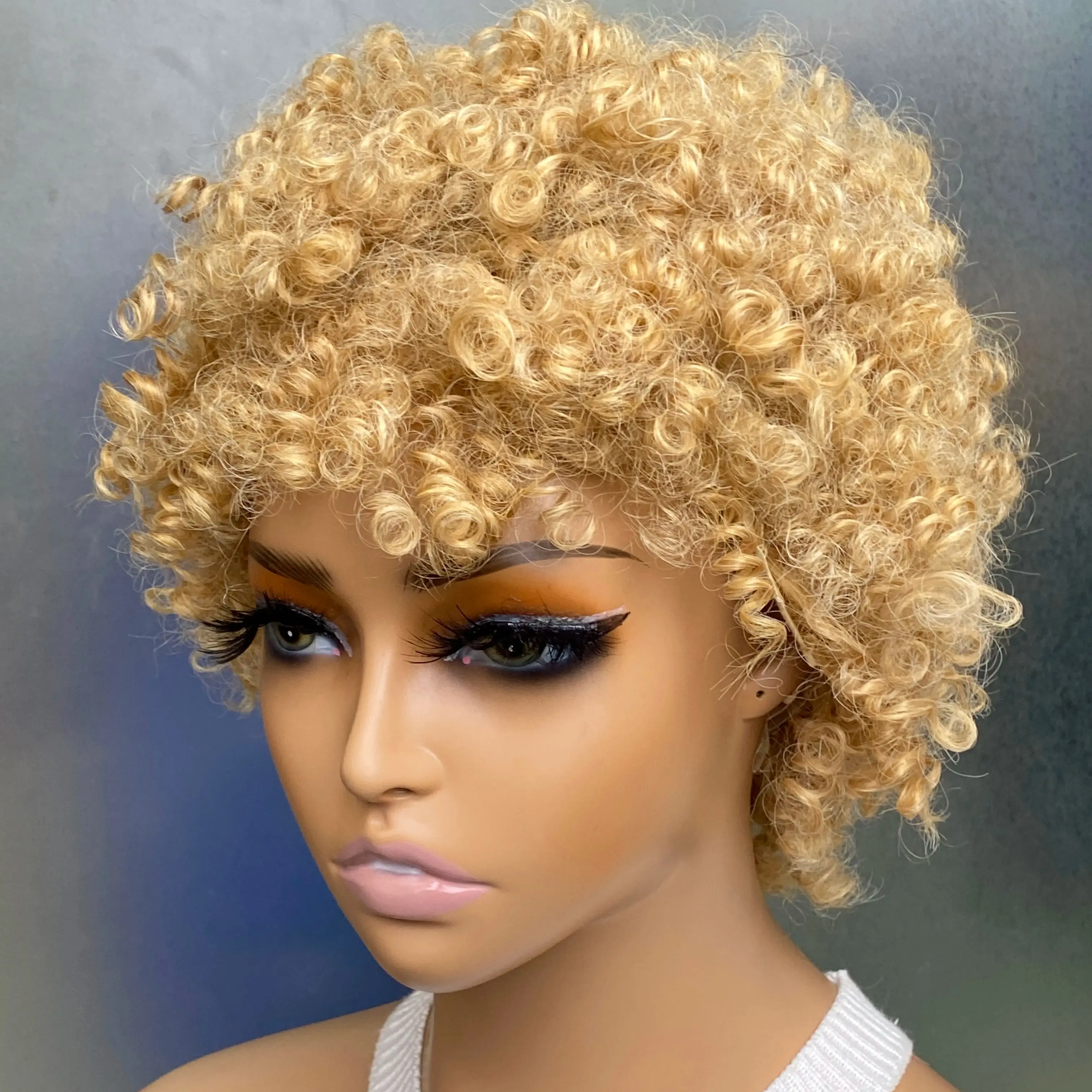 Short Afro Curly Synthetic Wigs for Black Women Gray Short Curly Wigs for African American Women Girls Short Hairstyles