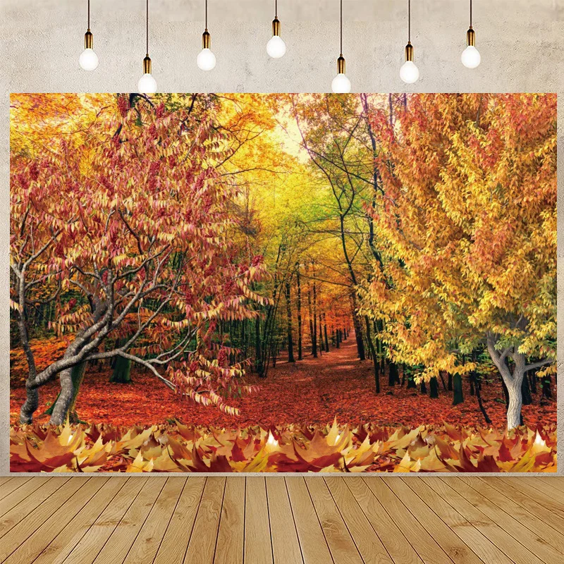Arrière-plan de Photographie Abstraite, Feuilles d'Automne Jaunes, Forêt, pour Nouveau-né, ixPréChristophe, Portrait d'Enfants, Accessoires de Studio Photo