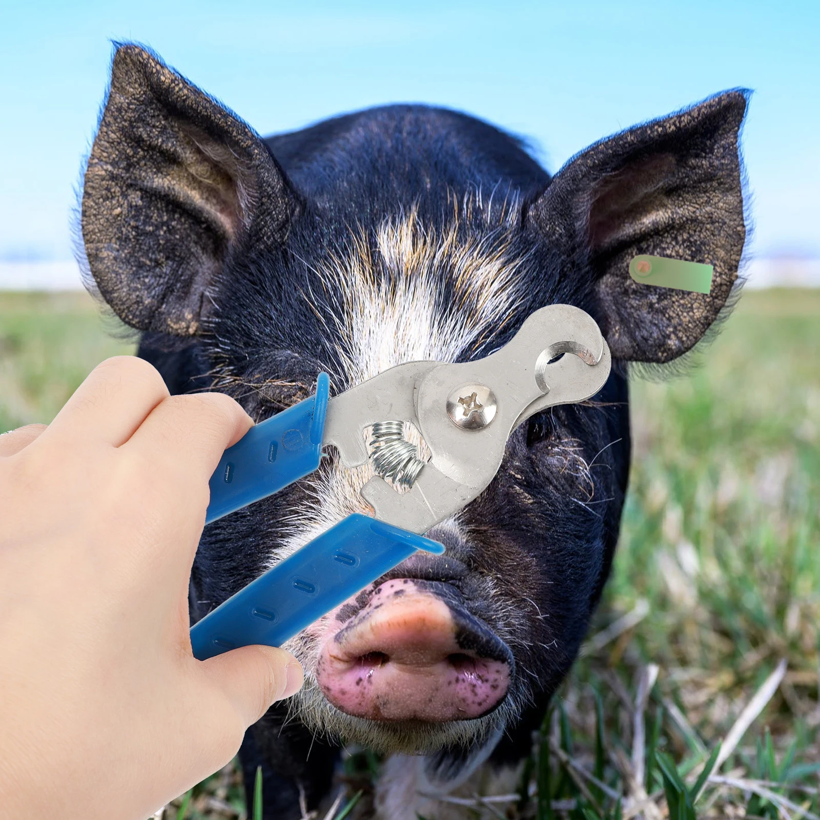 

Ear Tag Removal Pliers Durable Stainless Steel Plastic Lightweight Farm Tool Rabbit Sheep Pig Cattle Livestock Tagging Equipment