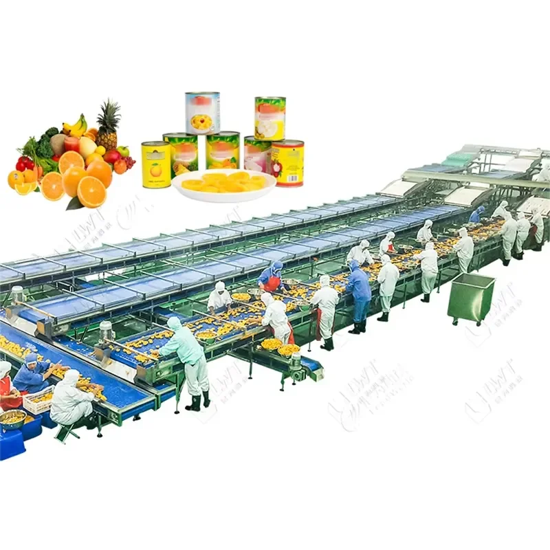 2026 CE Industrial Canned Fruit Papaya Pineapple Processing Machine Papaya Juice Production Line