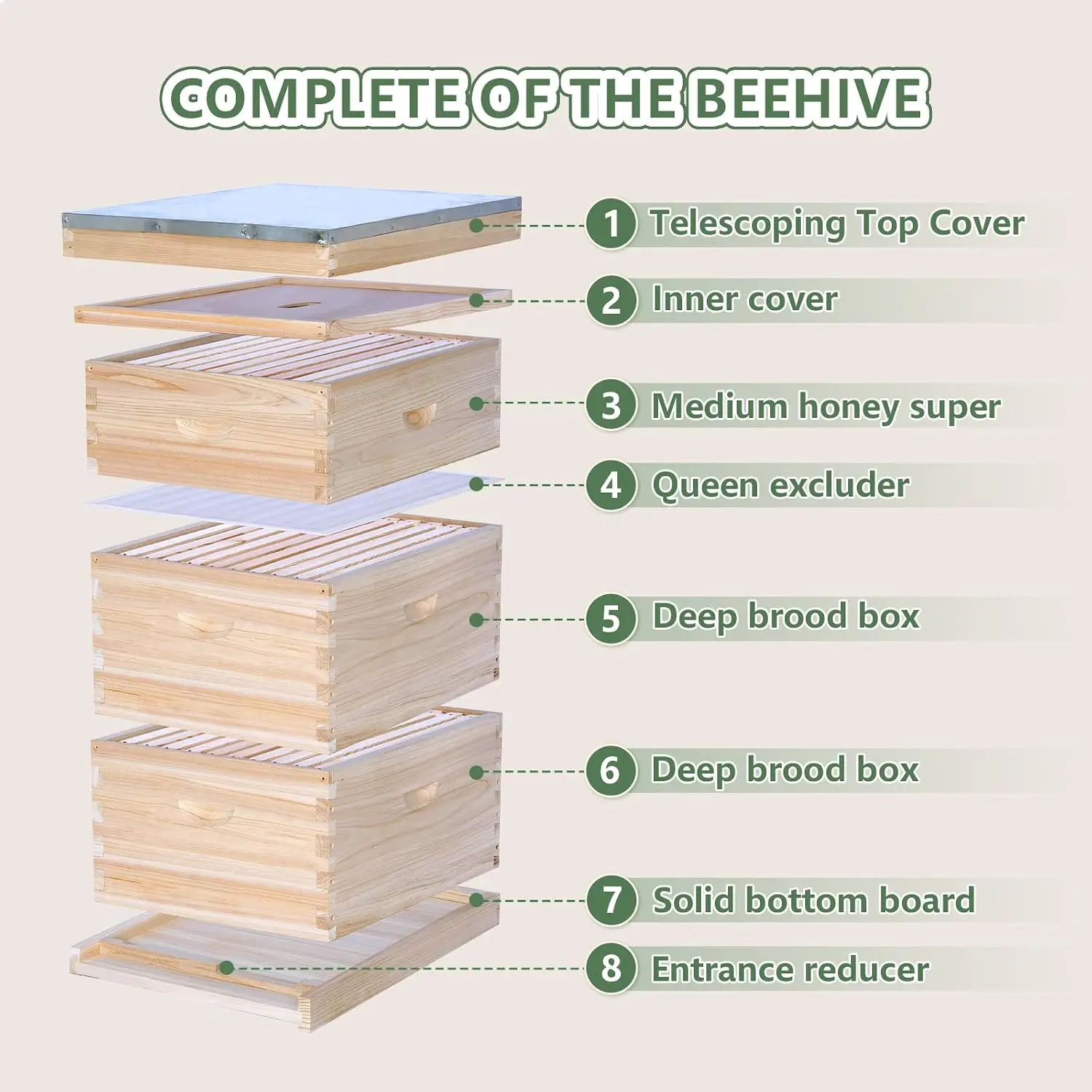 Bee Hive Boxes 10 Frame Langstroth Beehive Complete Kit Includes 2 Deep Brood Hives 1 Medium Super Bee Box Frames Foundation