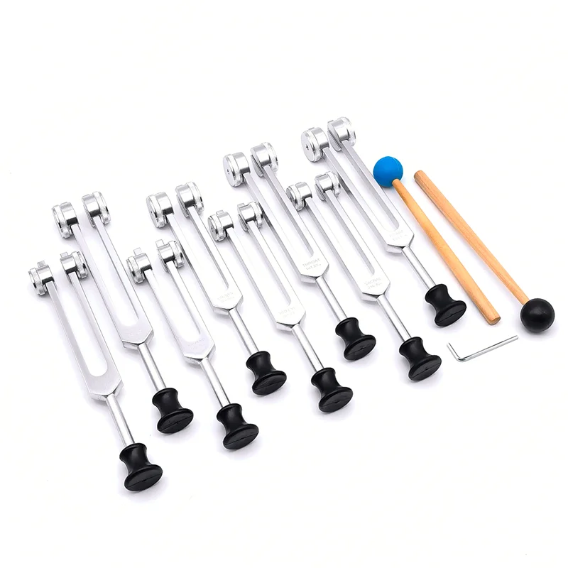 Set diapason A22I per guarigione, terapia del suono (126,22 Hz,136,1 Hz,141,27 Hz,172,06 Hz,194,18 Hz,210,42 Hz,221,23 Hz) Argento