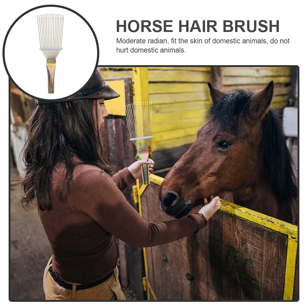 فرشاة شعر الحصان، مكواة طحن دقيقة، سطح أملس، قبضة مريحة لتنظيف الحصان والحمار #6