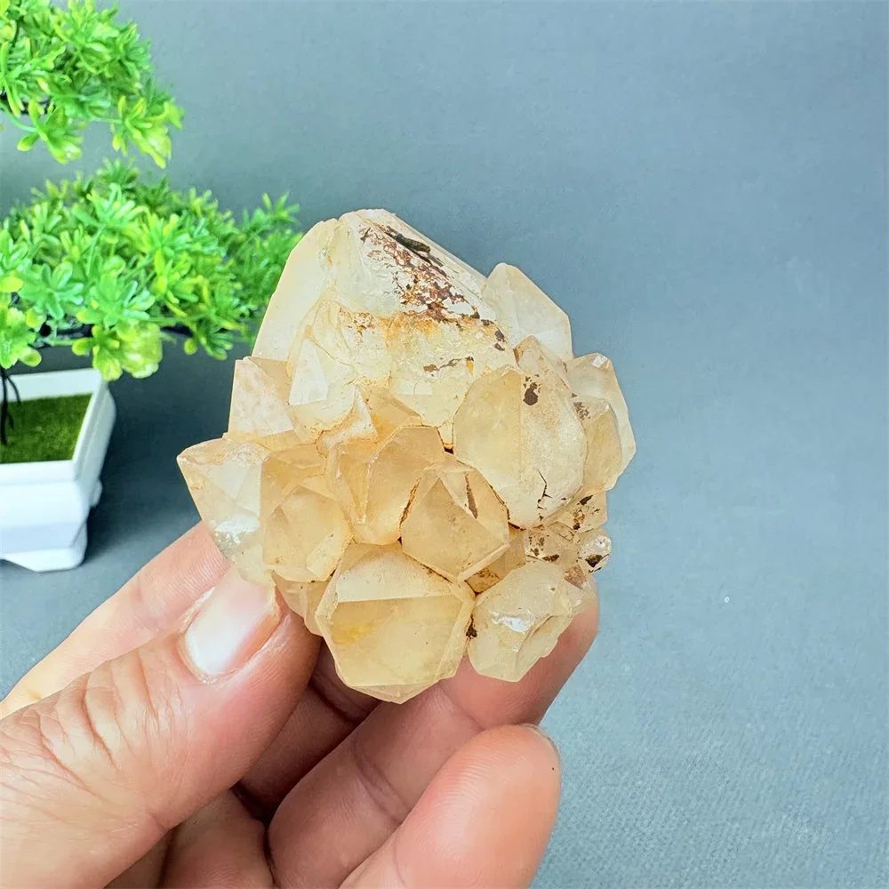 Natural Quartz Crystal Pineapple Cluster Healing Gemstone Mineral Specimen Flower Collection Stone for Mind Body Spirit
