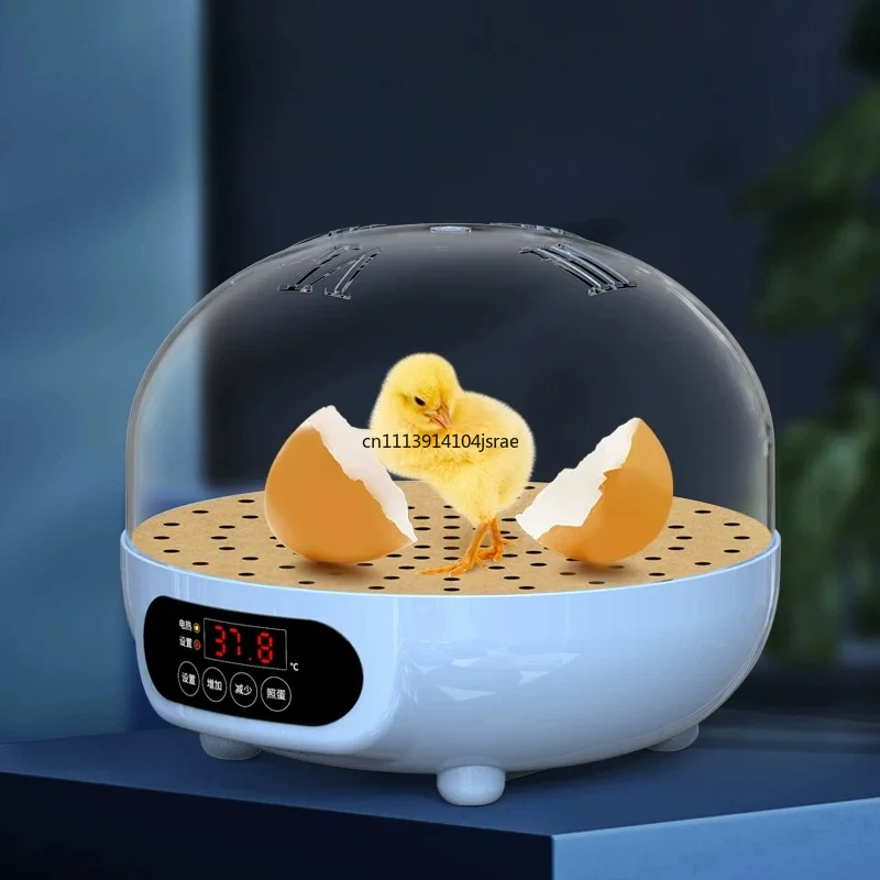 mini-incubateur-automatique-intelligent-pour-œufs-de-perroquet-de-poulet-et-de-volaille