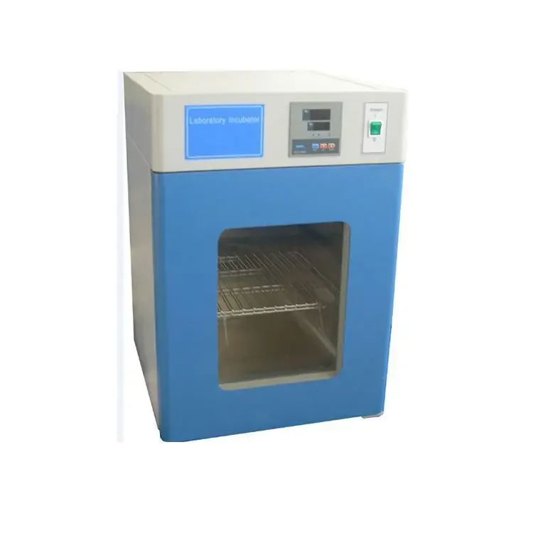 High Quality 15L 50L 80L 160L 270L Bacteria Cultivation Breeding Ferment Laboratory Constant Temperature Incubator