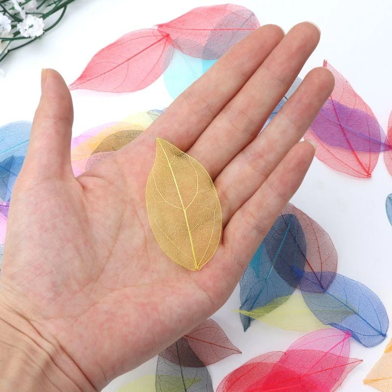 

J78F 50 шт./компл. натуральные скелетные листья для DIY серьги-корсажа «Ловец снов»