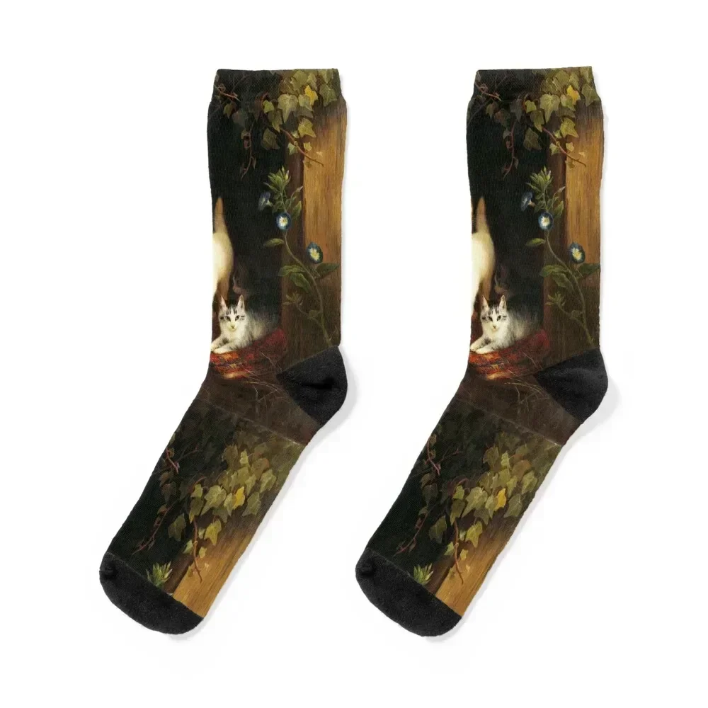 CAT WITH KITTENS AT THE RUSTIC WINDOW WITH CLIMBING IVIES AND MORNING GLORIES Socks kids Christmas Luxury Woman Socks Men's