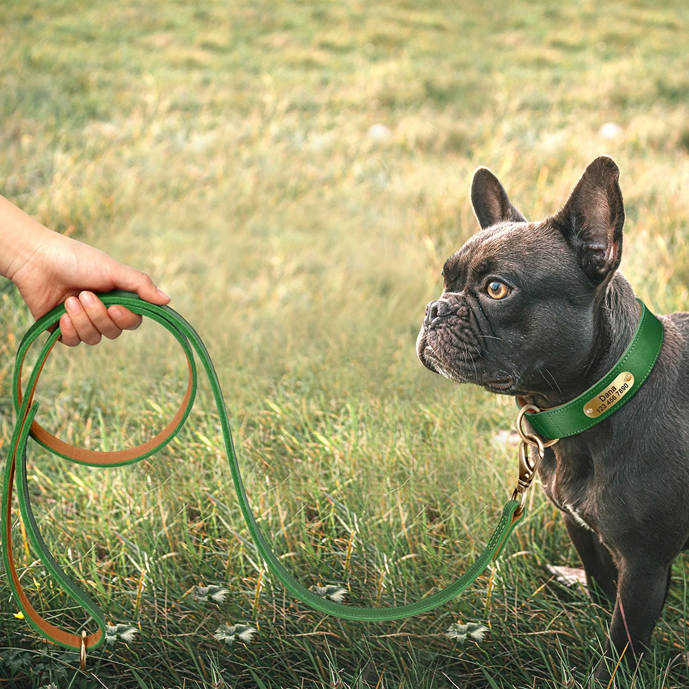 Personalisierte Hundehalsband-Leine aus echtem Leder, langlebige Hundehalsbänder, Gehbleine, Seil, frei mit Gravur für kleine, mittelgroße und große Hunde – Detail 38