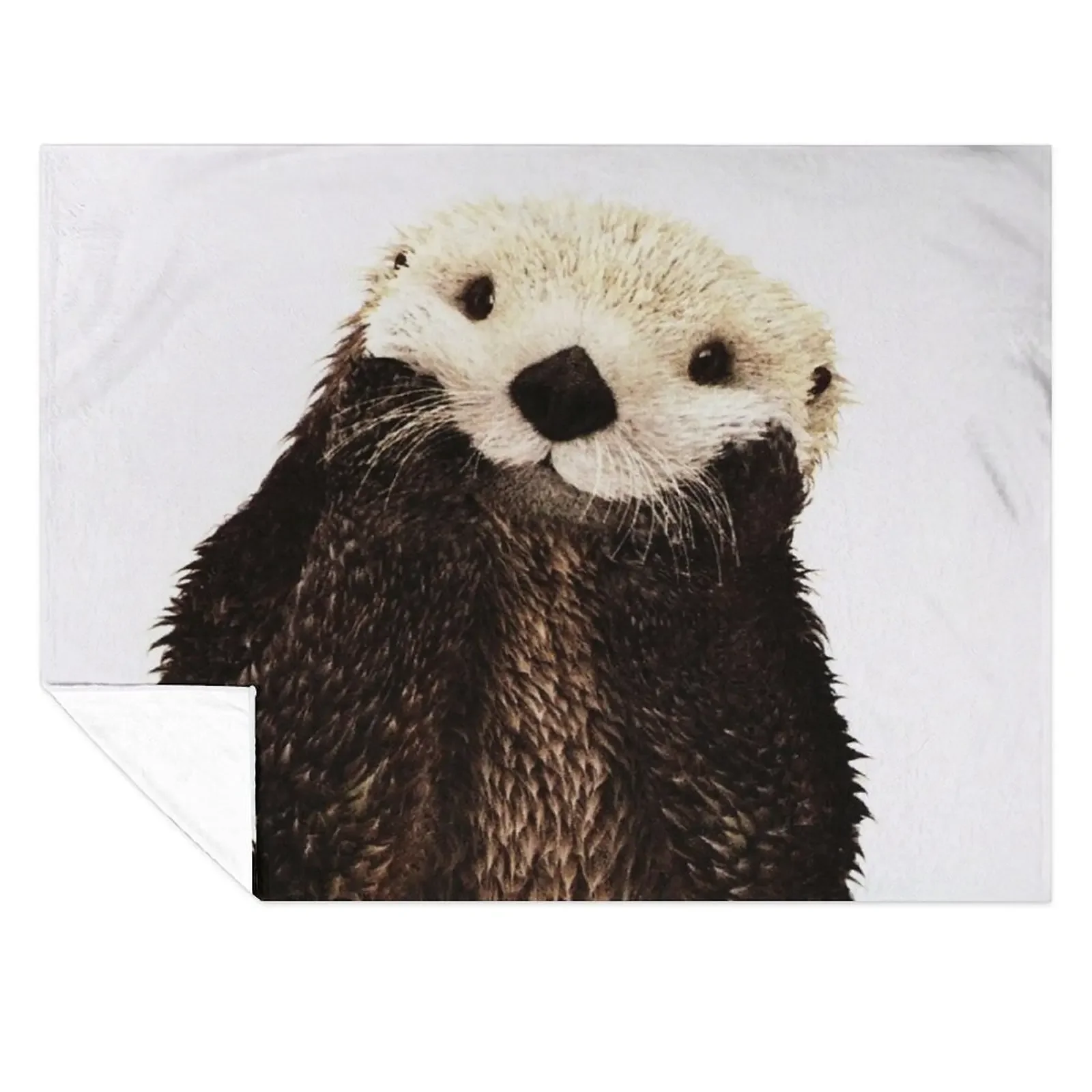 

Otters Gonna Ott Throw Blanket Hair Blankets For Sofas Thins For Baby Blankets